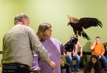 „Chwal ćwik!” – Międzynarodowy Dzień Sokolnika w Niepołomicach: Święto Żywej Tradycji – ZDJĘCIA