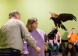 „Chwal ćwik!” – Międzynarodowy Dzień Sokolnika w Niepołomicach: Święto Żywej Tradycji – ZDJĘCIA