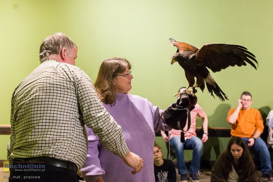 „Chwal ćwik!” – Międzynarodowy Dzień Sokolnika w Niepołomicach: Święto Żywej Tradycji – ZDJĘCIA