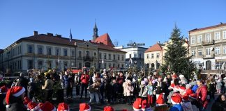 Bochnia. Przedszkolaki i uczniowie udekorowali świąteczny las na Rynku – ZDJĘCIA