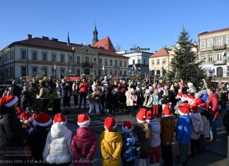 Bochnia. Przedszkolaki i uczniowie udekorowali świąteczny las na Rynku – ZDJĘCIA