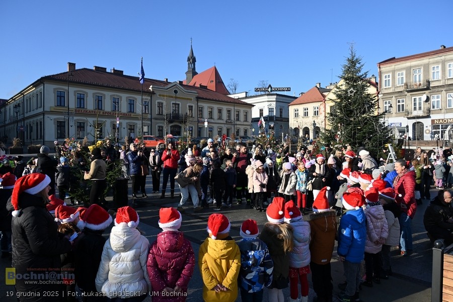 Bochnia. Przedszkolaki i uczniowie udekorowali świąteczny las na Rynku – ZDJĘCIA