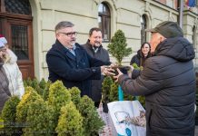 Bochnia. Ponad 500 naturalnych choinek rozdanych w zamian za makulaturę – ZDJĘCIA