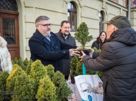 Bochnia. Ponad 500 naturalnych choinek rozdanych w zamian za makulaturę – ZDJĘCIA