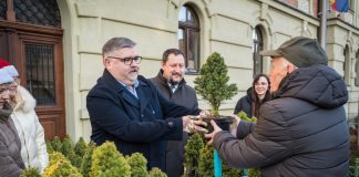 Bochnia. Ponad 500 naturalnych choinek rozdanych w zamian za makulaturę – ZDJĘCIA