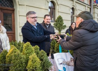 Bochnia. Ponad 500 naturalnych choinek rozdanych w zamian za makulaturę – ZDJĘCIA