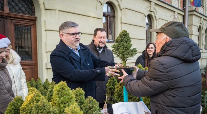 Bochnia. Ponad 500 naturalnych choinek rozdanych w zamian za makulaturę – ZDJĘCIA