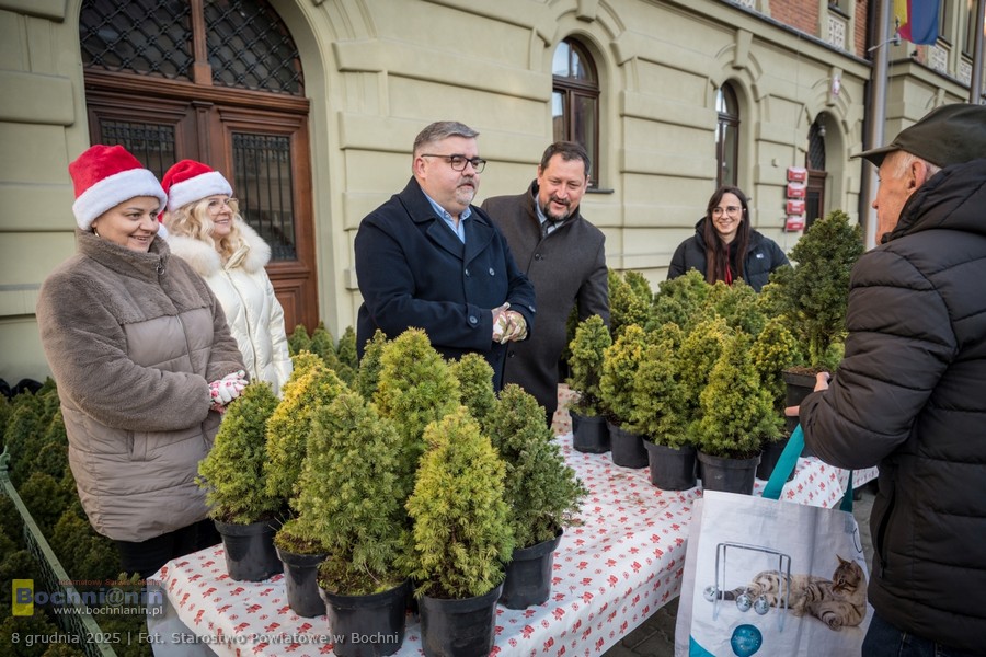 Bochnia. Ponad 500 naturalnych choinek rozdanych w zamian za makulaturę – ZDJĘCIA