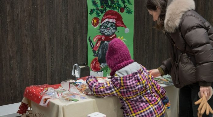 Świąteczne spotkanie z Bochnianie Bezdomniakom. Kiermasz i adopcje – ZDJĘCIA