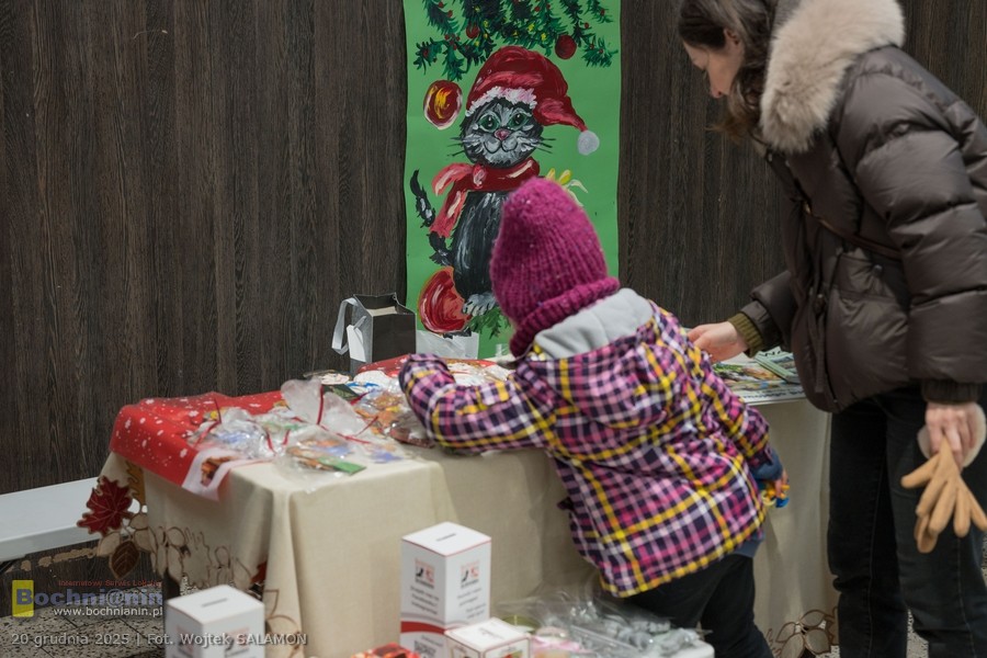Świąteczne spotkanie z Bochnianie Bezdomniakom. Kiermasz i adopcje – ZDJĘCIA