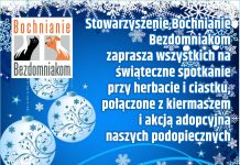 Świąteczne spotkanie z Bochnianie Bezdomniakom. Kiermasz i akcja adopcyjna