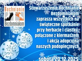 Świąteczne spotkanie z Bochnianie Bezdomniakom. Kiermasz i akcja adopcyjna