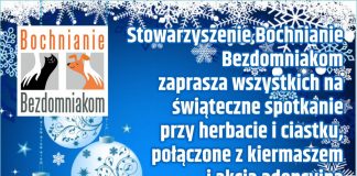 Świąteczne spotkanie z Bochnianie Bezdomniakom. Kiermasz i akcja adopcyjna