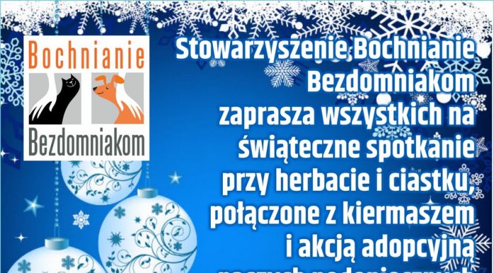 Świąteczne spotkanie z Bochnianie Bezdomniakom. Kiermasz i akcja adopcyjna