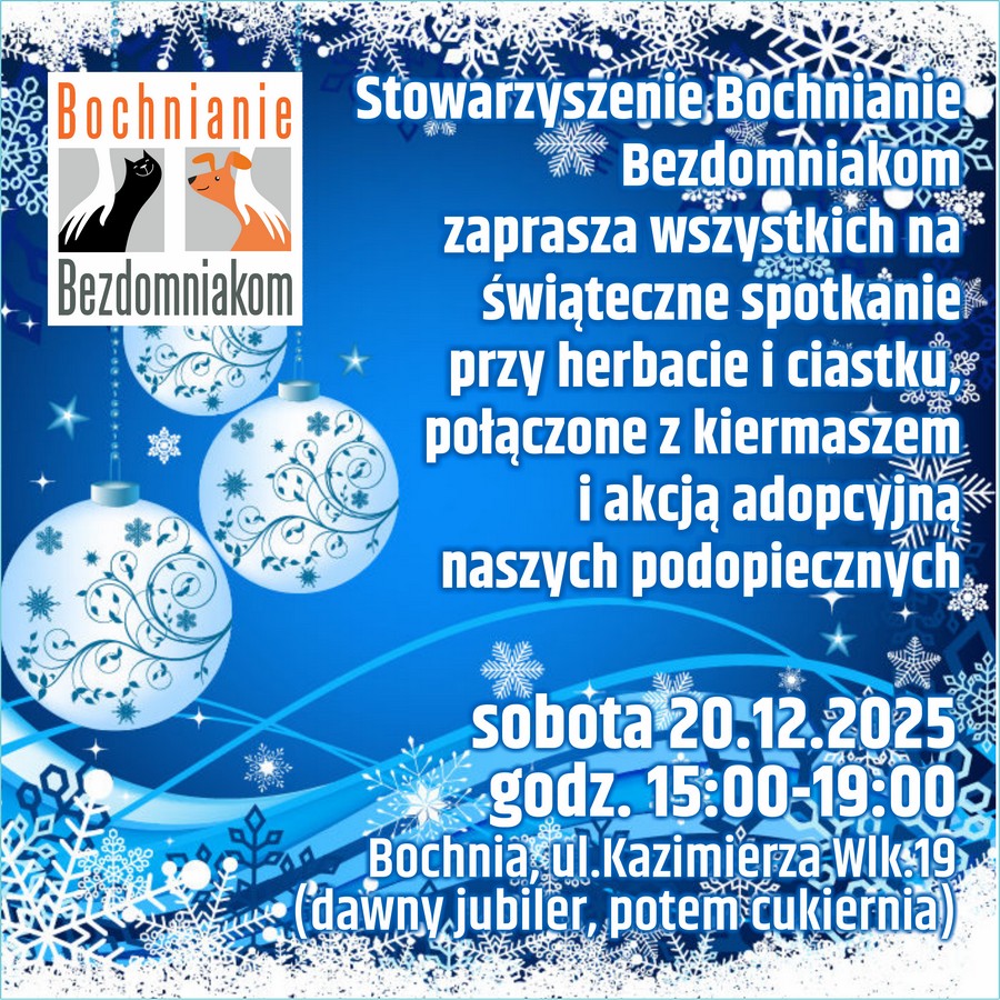 Świąteczne spotkanie z Bochnianie Bezdomniakom. Kiermasz i akcja adopcyjna