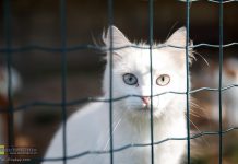 Bochnia. Unieważniono postępowanie. Jedyna oferta odpadła przez brak podpisu