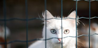 Bochnia. Unieważniono postępowanie. Jedyna oferta odpadła przez brak podpisu