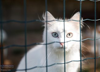 Bochnia. Unieważniono postępowanie. Jedyna oferta odpadła przez brak podpisu