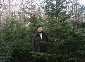 „Choinka dla życia”. Oddaj krew i odbierz świąteczne drzewko – leśnicy zapraszają do udziału w akcji