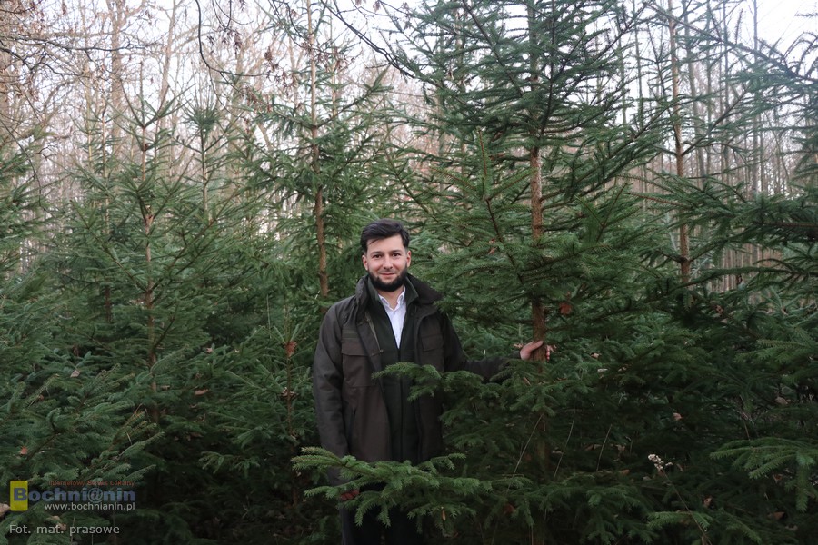 „Choinka dla życia”. Oddaj krew i odbierz świąteczne drzewko – leśnicy zapraszają do udziału w akcji