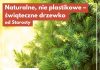 Świąteczne drzewko za makulaturę. Ekologiczna akcja w Bochni