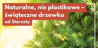 Świąteczne drzewko za makulaturę. Ekologiczna akcja w Bochni