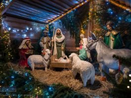 Wspólne kolędowanie w Betlejem – ZDJĘCIA