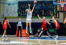 33 punkty Reese w Jeleniej Górze i pewna wygrana Zagłębia Sosnowiec