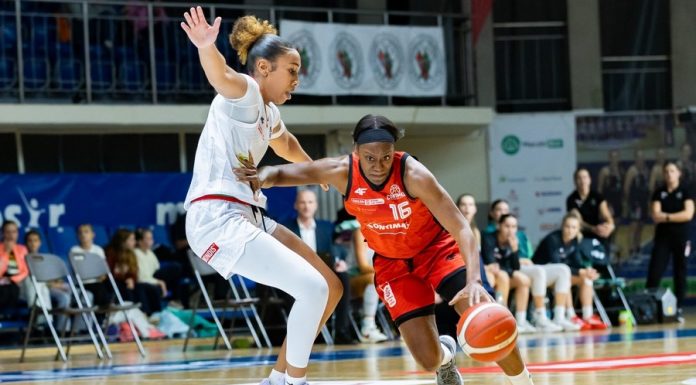 Wtorek z koszykówką. Contimax MOSiR Bochnia podejmie Zagłębie Sosnowiec – ZAPOWIEDŹ