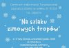Ferie z CIT w Bochni. Bezpłatne zajęcia dla dzieci „Na szlaku zimowych tropów”