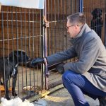 Burmistrz Wieliczki odwiedził schronisko w Borku po interwencji w pseudohodowli psów