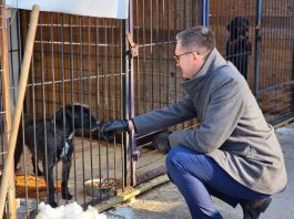 Burmistrz Wieliczki odwiedził schronisko w Borku po interwencji w pseudohodowli psów