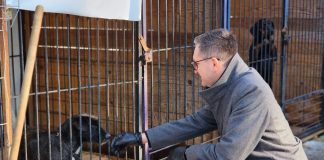 Burmistrz Wieliczki odwiedził schronisko w Borku po interwencji w pseudohodowli psów