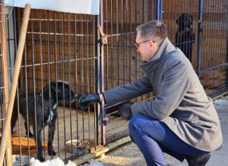 Burmistrz Wieliczki odwiedził schronisko w Borku po interwencji w pseudohodowli psów