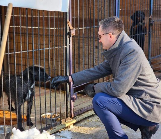 Burmistrz Wieliczki odwiedził schronisko w Borku po interwencji w pseudohodowli psów