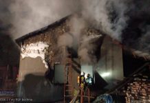 Pożar budynku gospodarczego w Dębinie. Spłonęło około 50 indyków