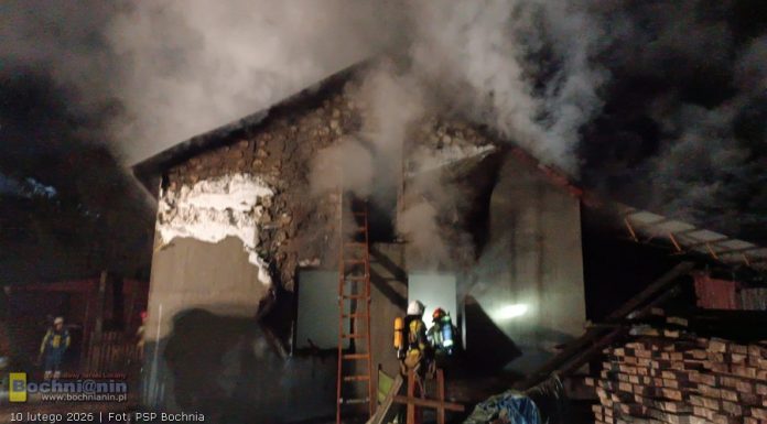 Pożar budynku gospodarczego w Dębinie. Spłonęło około 50 indyków