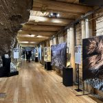 „Piękno soli” – nowa wystawa w bocheńskiej kopalni już otwarta – ZDJĘCIA