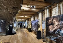 „Piękno soli” – nowa wystawa w bocheńskiej kopalni już otwarta – ZDJĘCIA