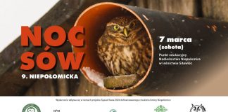 9. Niepołomicka Noc Sów już 7 marca. Nocne spotkanie z przyrodą w Puszczy Niepołomickiej
