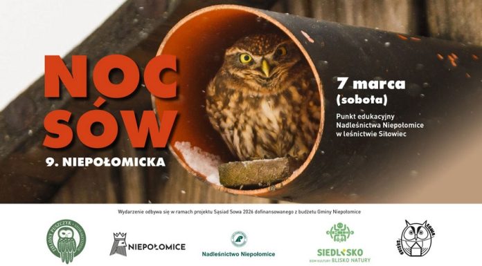 9. Niepołomicka Noc Sów już 7 marca. Nocne spotkanie z przyrodą w Puszczy Niepołomickiej