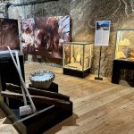 🔸 Geologia poza podręcznikiem. Wycieczka szkolna na wystawę „Piękno Soli” w Kopalni Soli Bochnia jako uzupełnienie lekcji przyrody i geografii