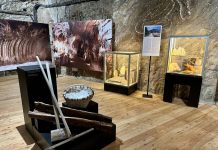 🔸 Geologia poza podręcznikiem. Wycieczka szkolna na wystawę „Piękno Soli” w Kopalni Soli Bochnia jako uzupełnienie lekcji przyrody i geografii