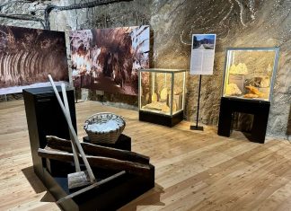 🔸 Geologia poza podręcznikiem. Wycieczka szkolna na wystawę „Piękno Soli” w Kopalni Soli Bochnia jako uzupełnienie lekcji przyrody i geografii