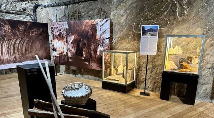 🔸 Geologia poza podręcznikiem. Wycieczka szkolna na wystawę „Piękno Soli” w Kopalni Soli Bochnia jako uzupełnienie lekcji przyrody i geografii