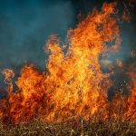 Ponad 500 pożarów traw w Małopolsce od początku roku. Grzywna za wypalanie to nawet 30 tys. złotych