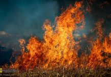 Ponad 500 pożarów traw w Małopolsce od początku roku. Grzywna za wypalanie to nawet 30 tys. złotych