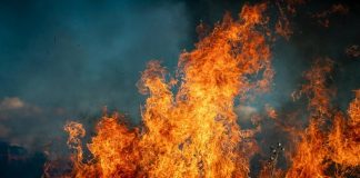 Ponad 500 pożarów traw w Małopolsce od początku roku. Grzywna za wypalanie to nawet 30 tys. złotych