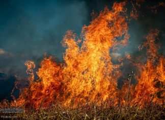 Ponad 500 pożarów traw w Małopolsce od początku roku. Grzywna za wypalanie to nawet 30 tys. złotych