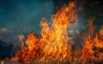 Ponad 500 pożarów traw w Małopolsce od początku roku. Grzywna za wypalanie to nawet 30 tys. złotych